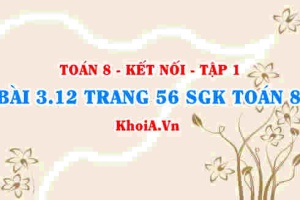Bài 3.12 trang 56 SGK Toán 8 tập 1 Kết nối tri thức